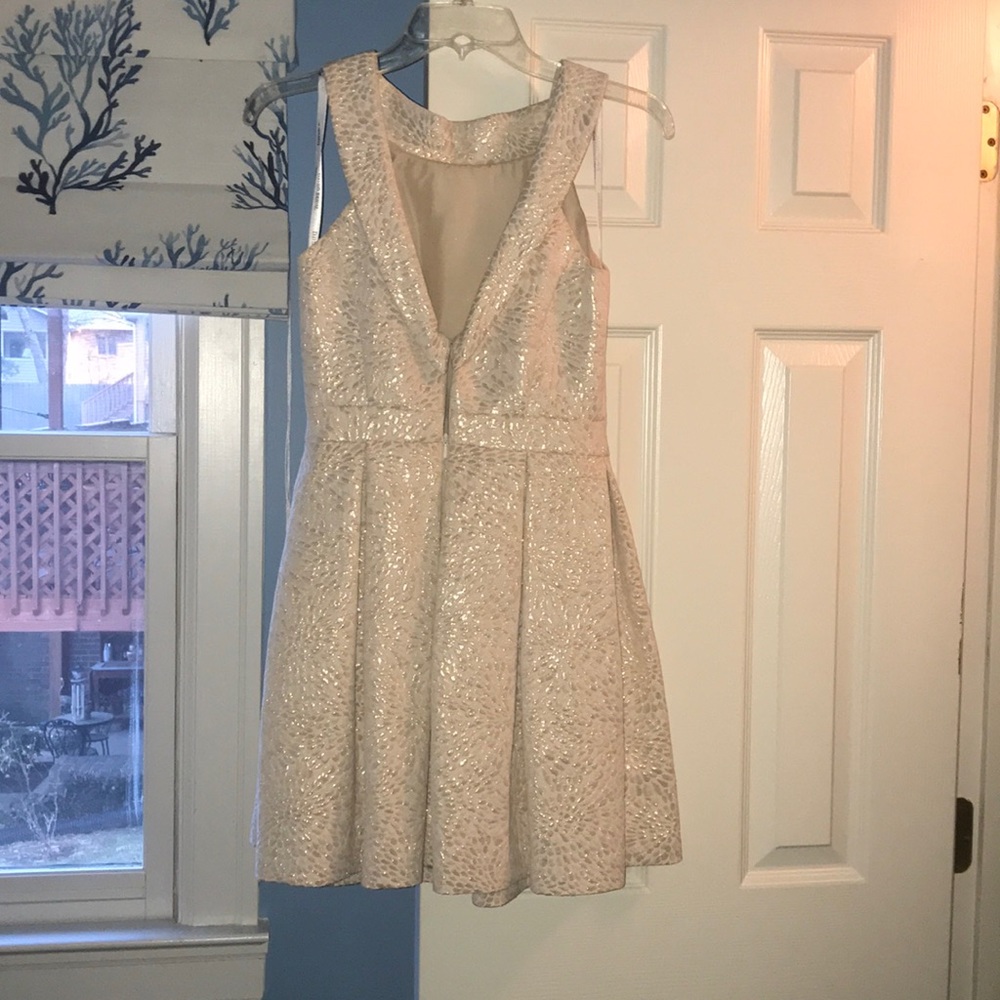 Stunning size 2 party dress. Worn only once.